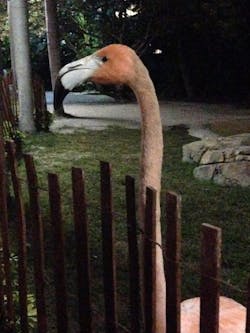 7478 7478