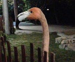 7478-thumb 7478-thumb