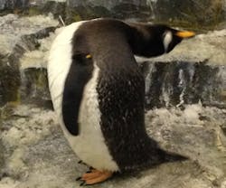 7468-thumb 7468-thumb