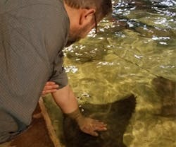 7455-thumb 7455-thumb