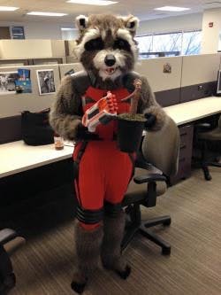 ResizedImage250333-RocketRaccoon ResizedImage250333-RocketRaccoon