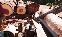 what-works2 what-works2