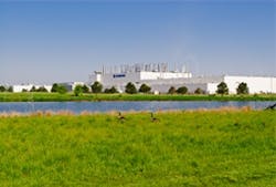 plant-profile1 plant-profile1