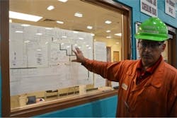 plant-profile-sapa2 plant-profile-sapa2