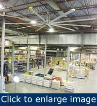 Article_WhatWorksFans2 Article_WhatWorksFans2