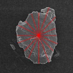 lubes_0807_Figure3_web lubes_0807_Figure3_web