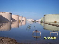 fig2_cover fig2_cover