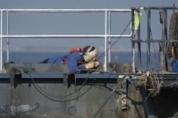 fig5_cover fig5_cover