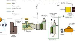 1660252199450 Two For One Fig 1 1660252199450 Two For One Fig 1
