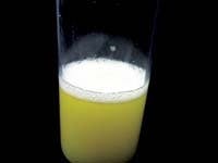 PS0409_LUBES_FIG_2 PS0409_LUBES_FIG_2