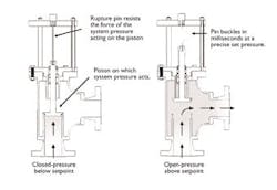 1660252338402 Zz10 1660252338402 Zz10