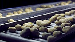 potatoes-conveyor2