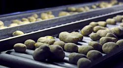 potatoes-conveyor2