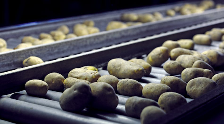 potatoes-conveyor2