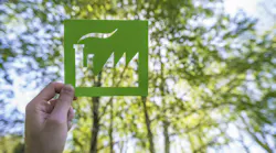 green-plant-trees