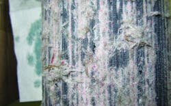 1660318143059 2102rca1 1660318143059 2102rca1