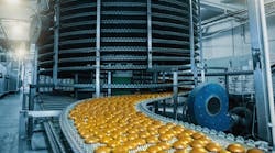 1660318169892 Automationconveyor 1660318169892 Automationconveyor