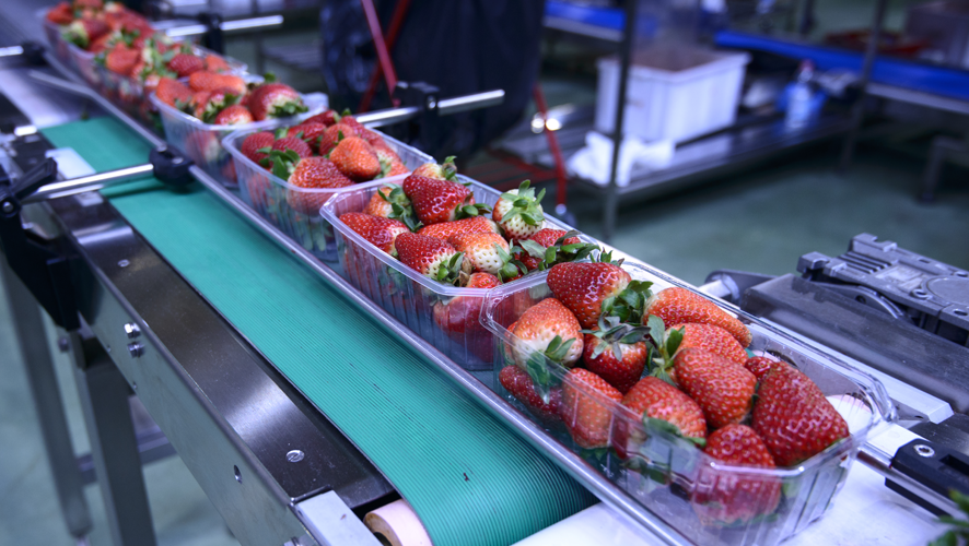 1660318440753 2002conveyormaintenancehero