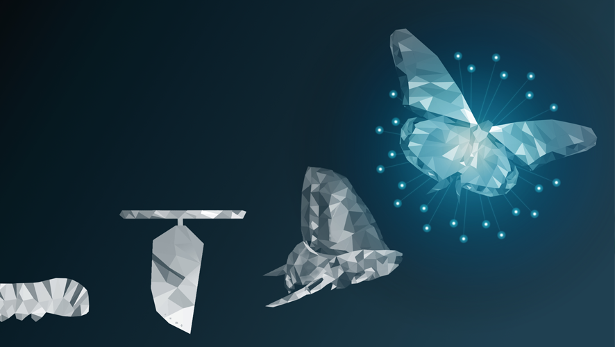 1660318447558 2002fromtheeditor