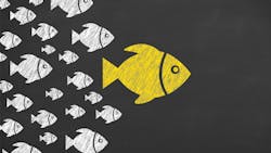 1660318466800 2002humancapital 1660318466800 2002humancapital