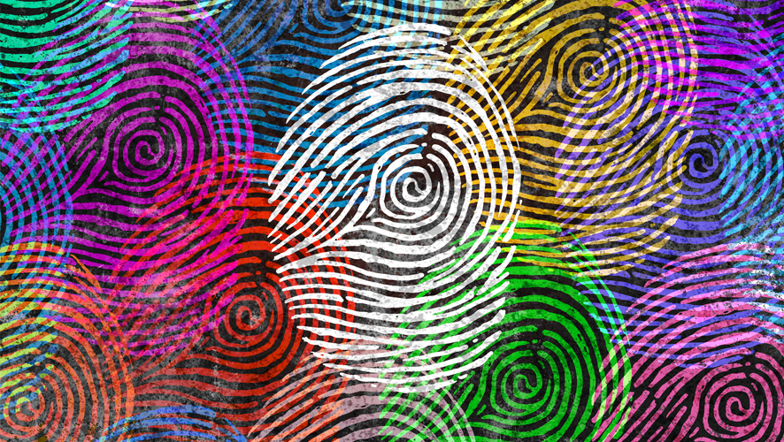 1660318506757 2001diversitysurvey