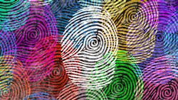 1660318506757 2001diversitysurvey 1660318506757 2001diversitysurvey