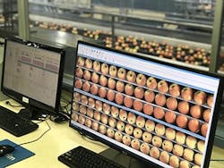 at-your-service-3 at-your-service-3