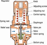 1660318922148 Fig2gpreg