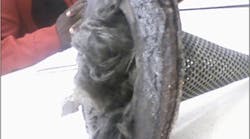 1605-what-works1 1605-what-works1