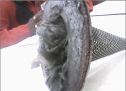 1605-what-works1 1605-what-works1