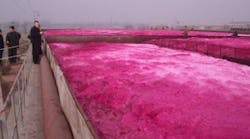 1660319559994 Blower1 1660319559994 Blower1