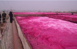 1660319559994 Blower1 1660319559994 Blower1