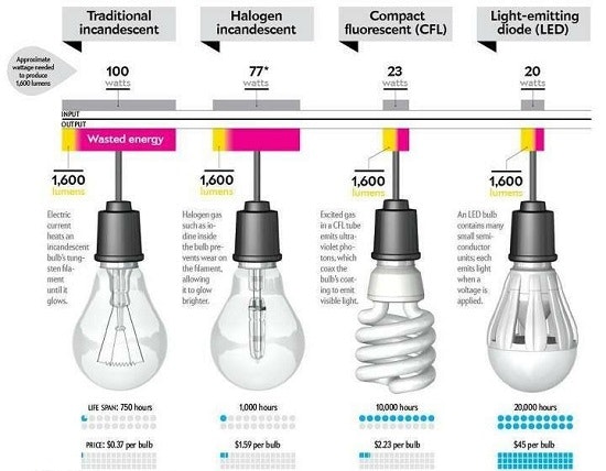Infographic Wasting energy and money with the wrong light bulb