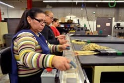 plant-profile1 plant-profile1