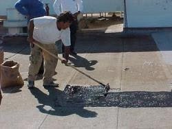 resizedimage250188-zzzzz12 resizedimage250188-zzzzz12