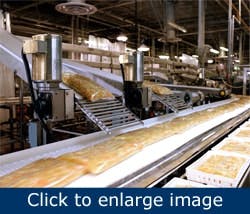 more-torque-less-money-worm-gear-reducer3 more-torque-less-money-worm-gear-reducer3