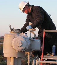 1660320525090 Bestpracticesstemnuttesting1