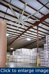 1660320634902 Article Whatworks