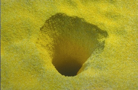 1660329537201 Livestorage