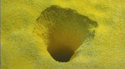 1660329537201 Livestorage 1660329537201 Livestorage