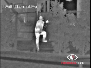 1660329589491 Intruder