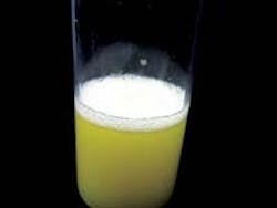 1660329805265 Ps0409 Lubes Fig 2 1660329805265 Ps0409 Lubes Fig 2