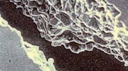 1660329843626 Zz28 1660329843626 Zz28