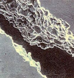 1660329843626 Zz28 1660329843626 Zz28