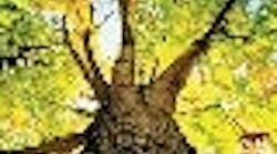 PS0502_MOTORS_G1_web PS0502_MOTORS_G1_web