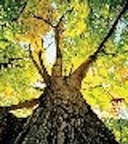 1660601392223 Ps0502 Motors G1 Web 1660601392223 Ps0502 Motors G1 Web