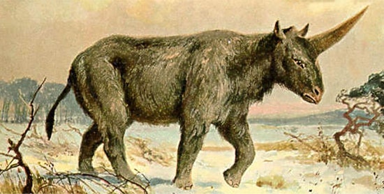 1661880525224 Unicorn