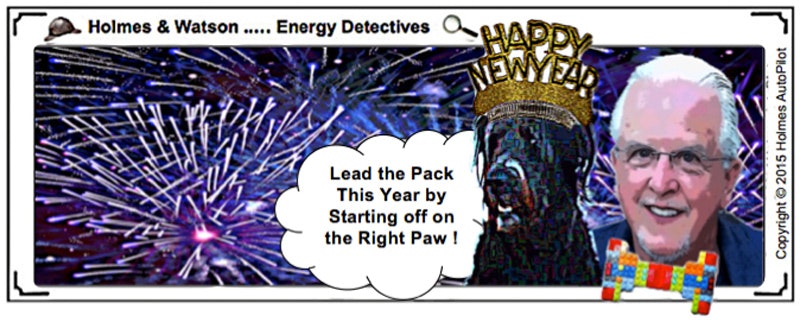 1661880928406 Newyear2015