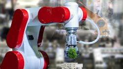 Robots Are Fighting Deforestation In The Amazon One Seed At A Time 6495d9002da25 Robots Are Fighting Deforestation In The Amazon One Seed At A Time 6495d9002da25