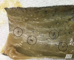 balogh_lubrication_article_fig1_grease_strainer_ml balogh_lubrication_article_fig1_grease_strainer_ml